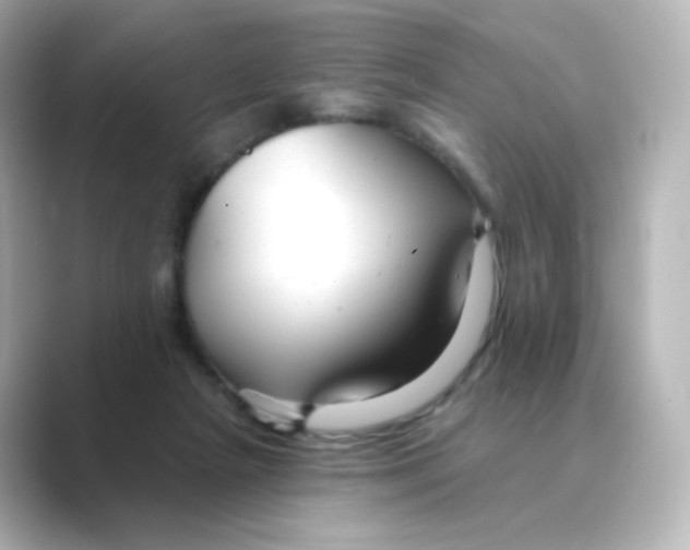 X0000088750265200706212120