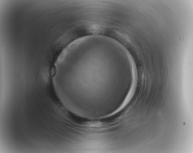 X0000088750266200706212120