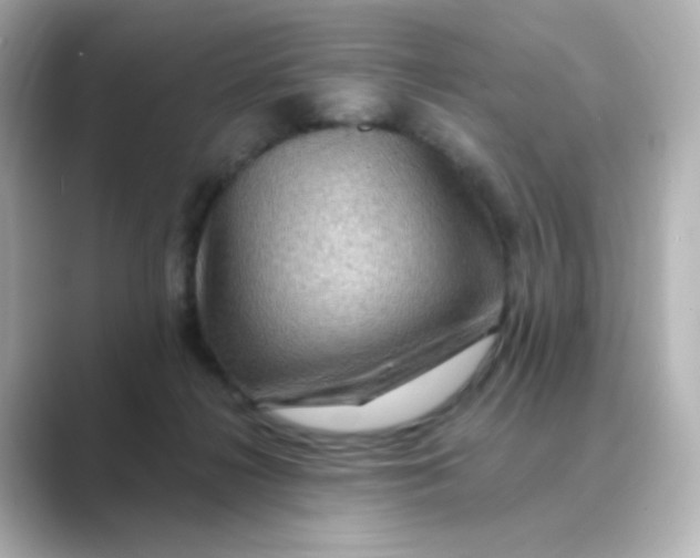 X0000088750268200706212120