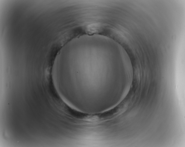 X0000088750271200706212120