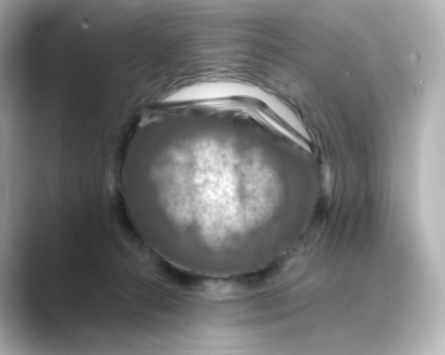 X0000088750272200706212120