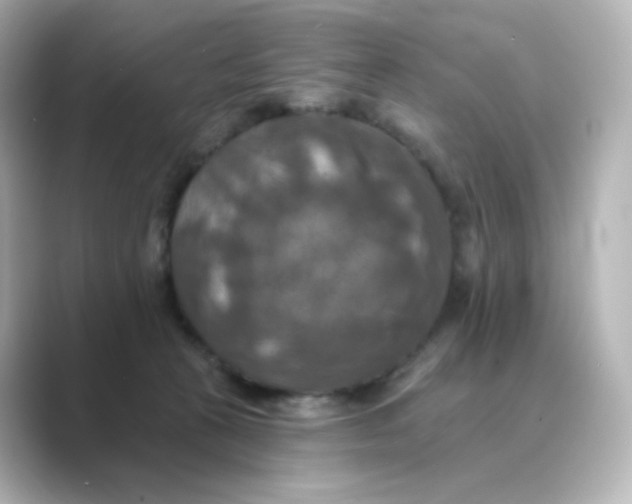 X0000088750273200706212120