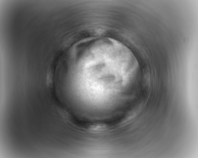 X0000088750274200706212120