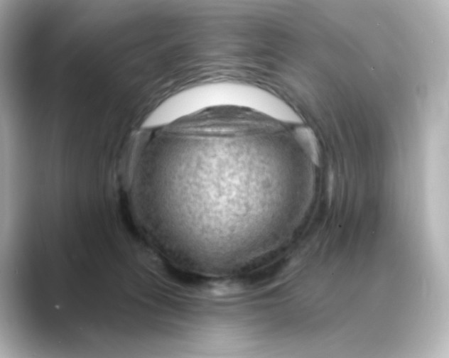 X0000088750275200706212120