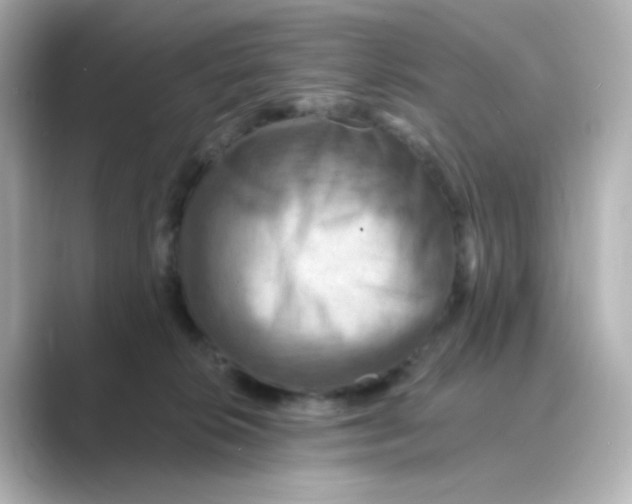 X0000088750276200706212120