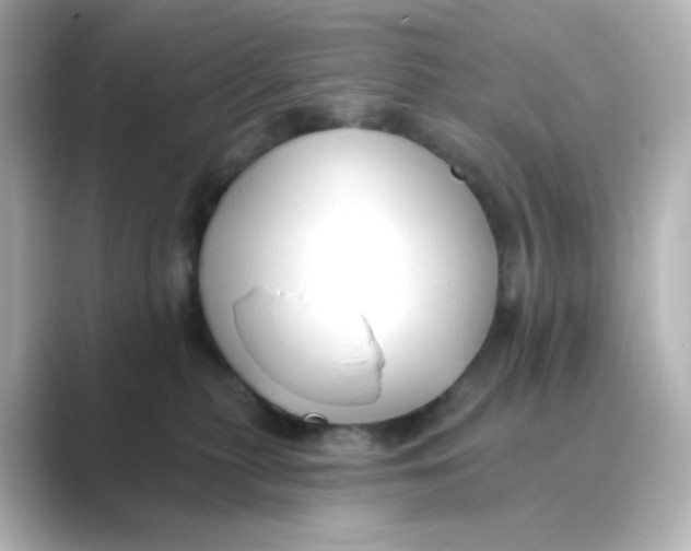 X0000088750279200706212120