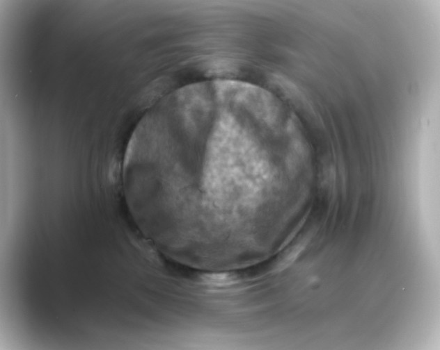 X0000088750281200706212120