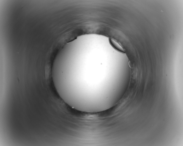 X0000088750283200706212120