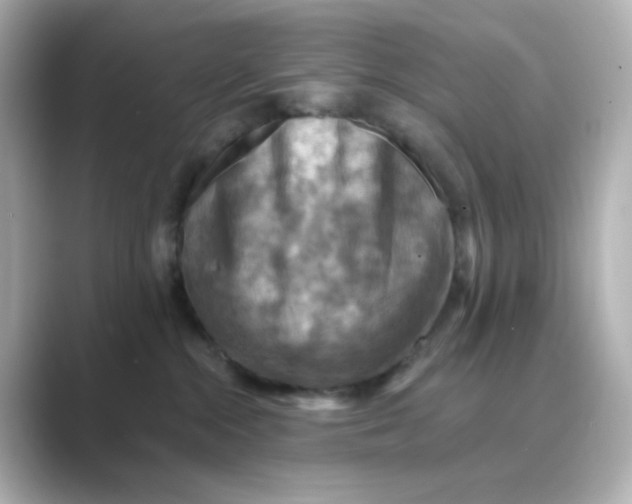 X0000088750284200706212120