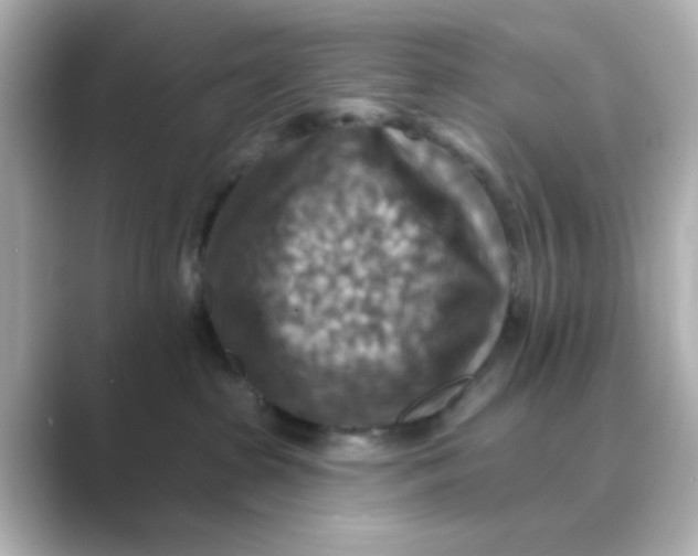 X0000088750285200706212120