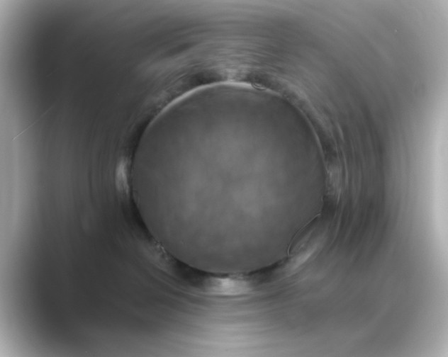 X0000088750286200706212120