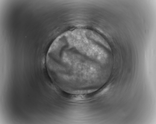 X0000088750288200706212120