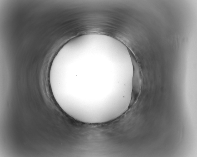 X0000088750289200706212119