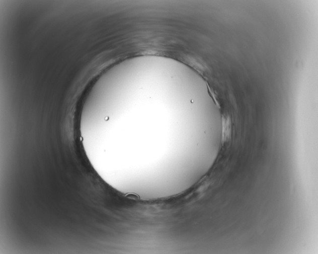 X0000088750291200706212119