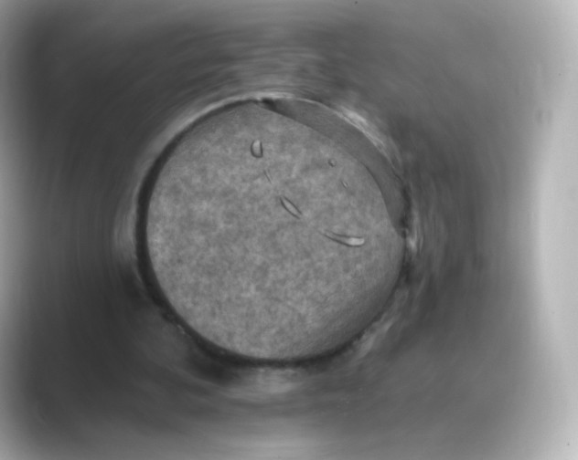 X0000088750292200706212119