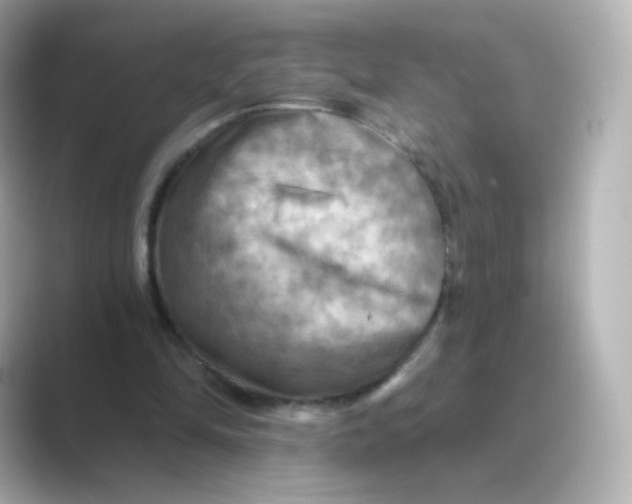 X0000088750294200706212119