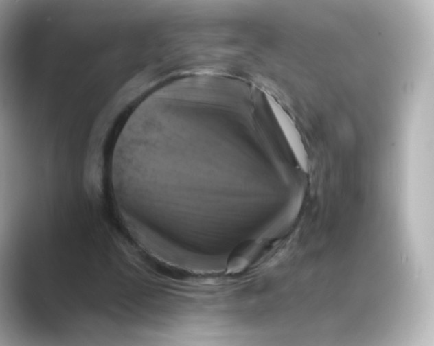 X0000088750295200706212119