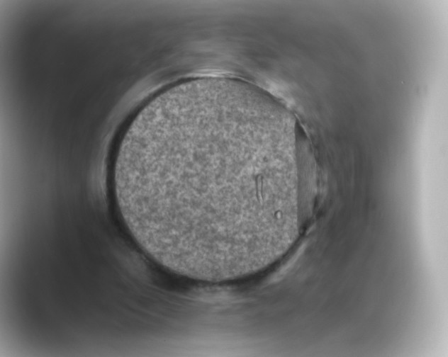 X0000088750296200706212119