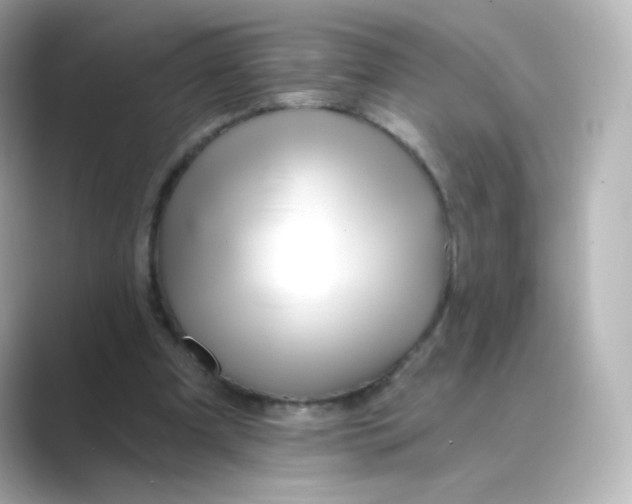 X0000088750297200706212119