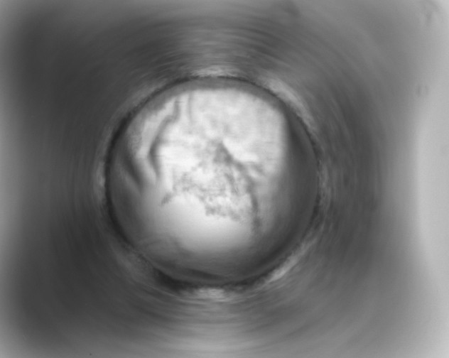 X0000088750298200706212119