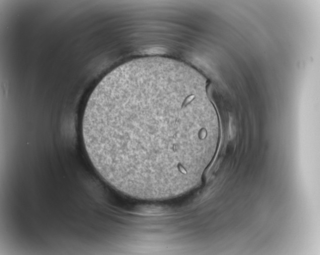 X0000088750300200706212119