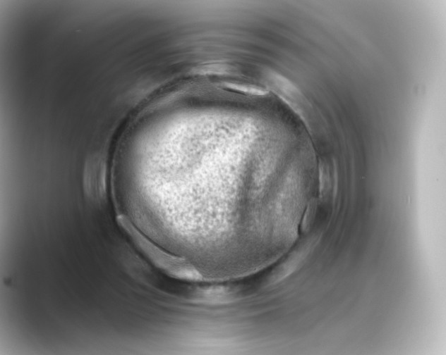 X0000088750301200706212119