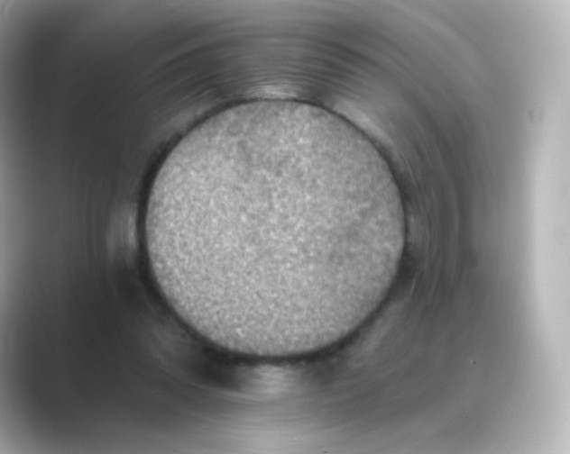 X0000088750302200706212119