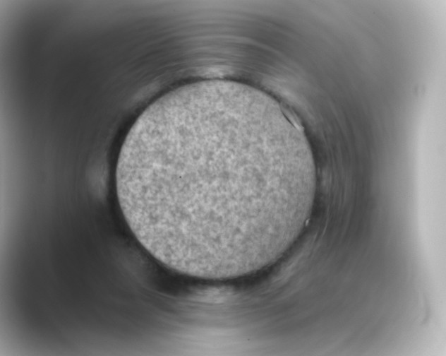 X0000088750304200706212119