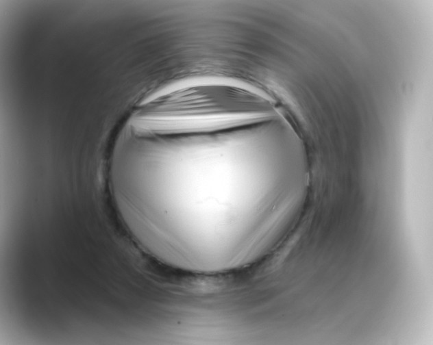 X0000088750305200706212119