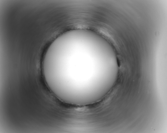 X0000088750306200706212119