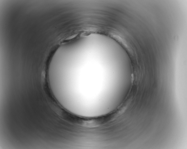 X0000088750309200706212119