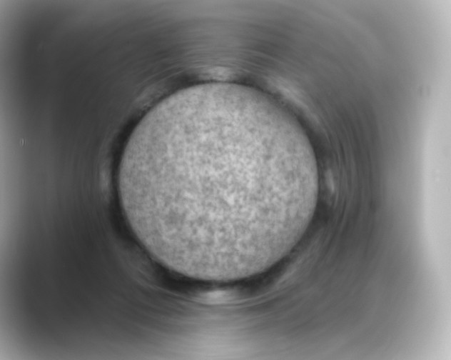 X0000088750312200706212119