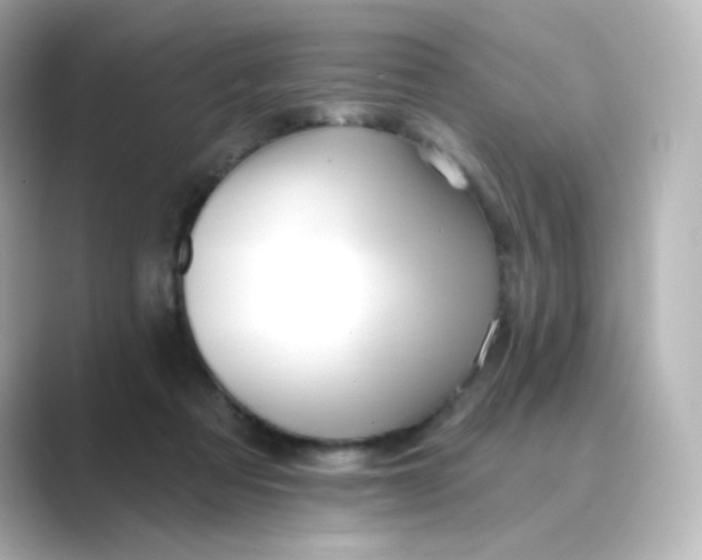 X0000088750313200706212119