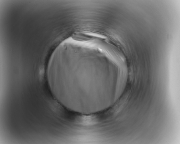 X0000088750314200706212119