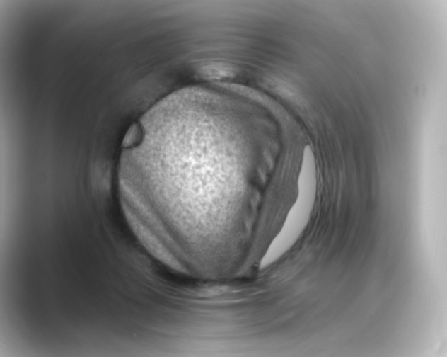 X0000088750315200706212119