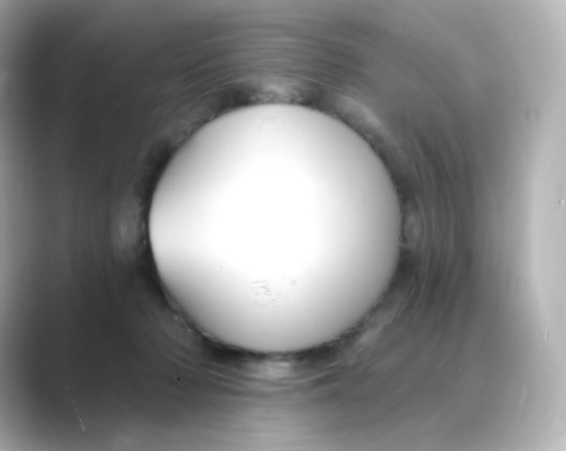 X0000088750318200706212119