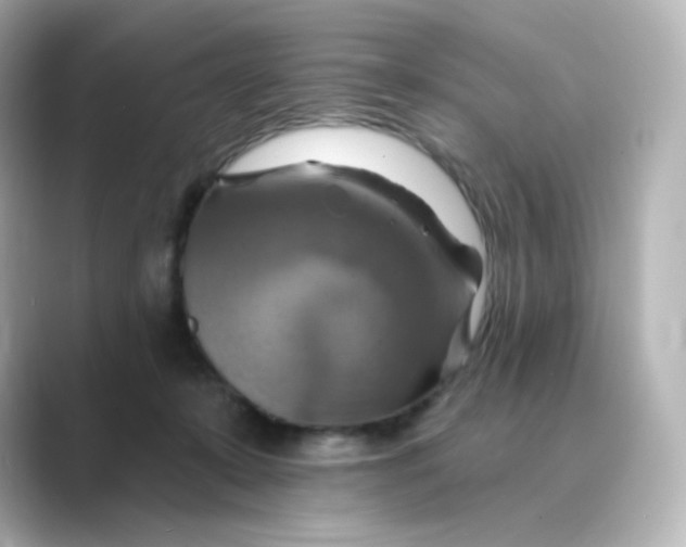 X0000088750319200706212119