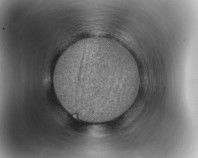 X0000088750320200706212119