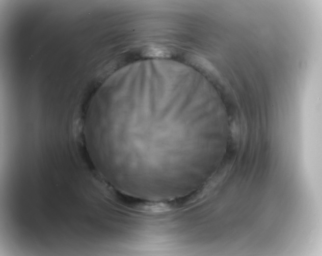 X0000088750322200706212119