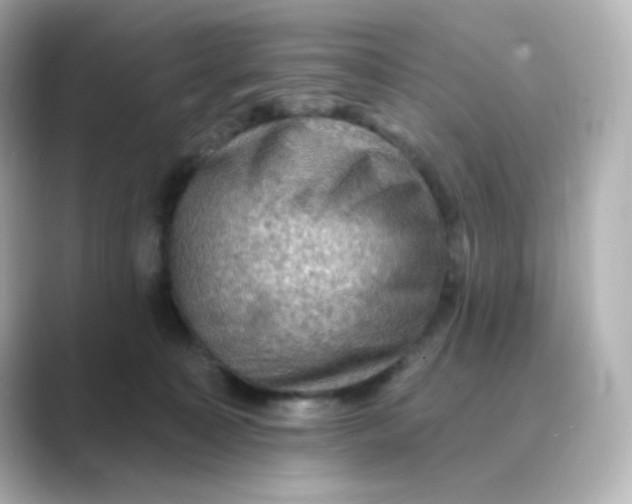 X0000088750323200706212119