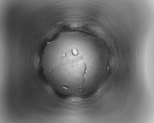 X0000088750327200706212119