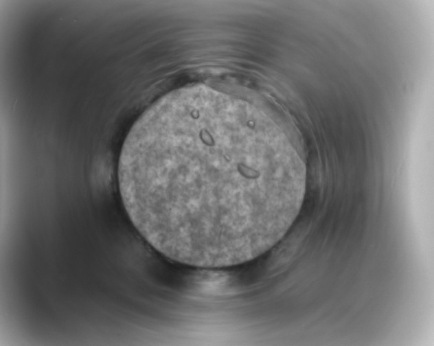 X0000088750328200706212119