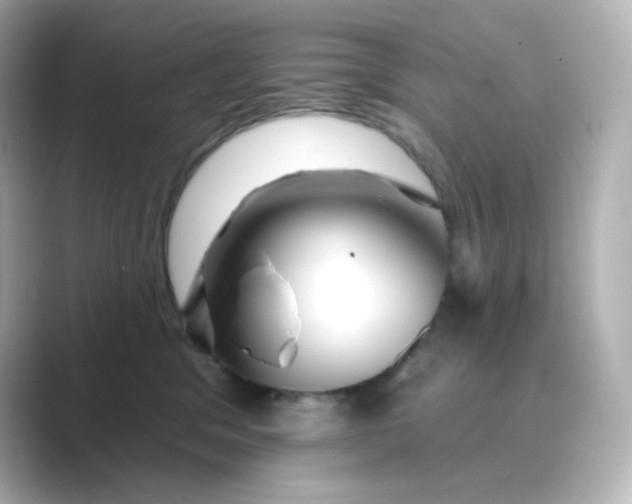 X0000088750329200706212119