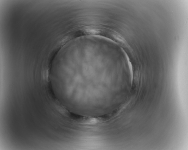 X0000088750330200706212119