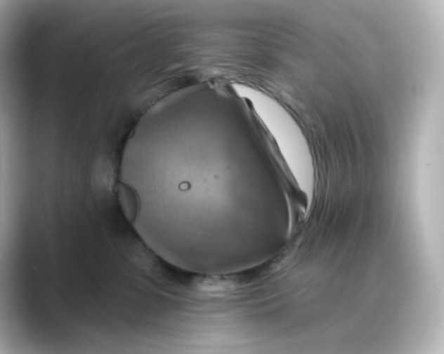 X0000088750331200706212119