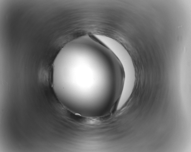 X0000088750333200706212119