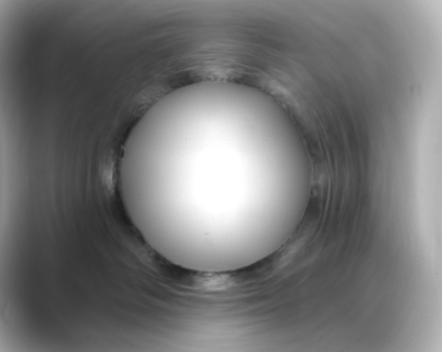 X0000088750334200706212119