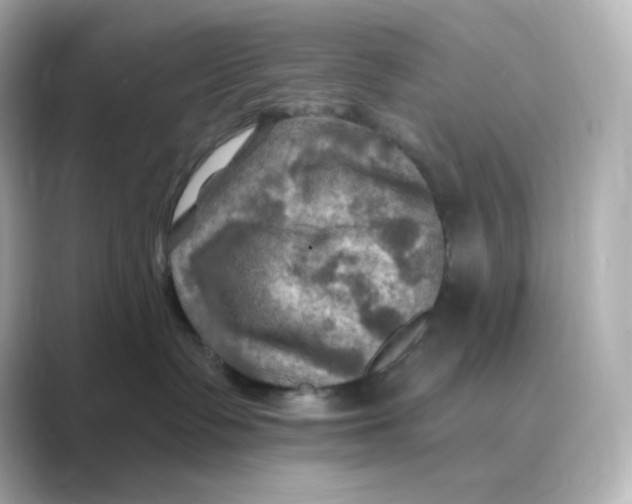 X0000088750335200706212119