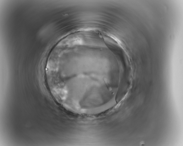 X0000088750337200706212118