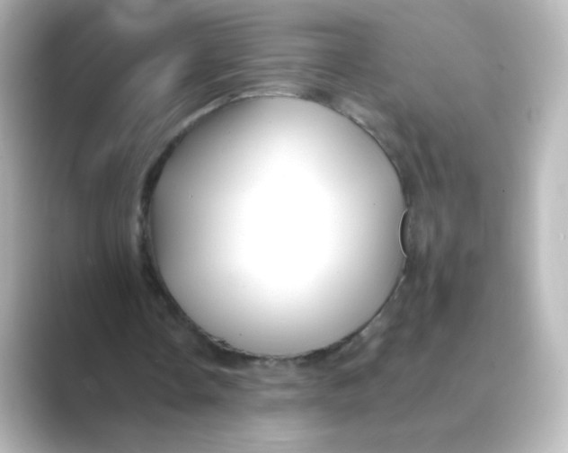 X0000088750338200706212118